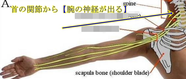 腕が痛い しびれる だるい 大田区久が原整体院