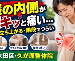 膝の内側がズキッと痛む、歩くと痛い、立ち上がるとつらい、階段で膝が痛むといった悩みについて、考えられる原因と受診の目安を紹介する大田区・久が原整体院の記事トップ画像。