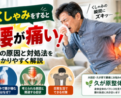 くしゃみをすると腰が痛い原因と対処法を解説する久が原整体院の記事画像。腰痛を感じる男性と腰椎・骨盤のイラストを掲載。