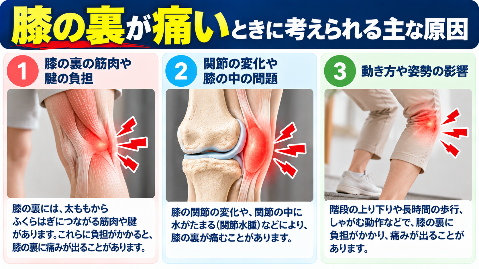 膝の裏が痛む主な原因|筋肉や腱の負担、膝関節の変化、動き方や姿勢の影響