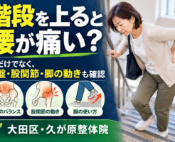 階段を上ると腰が痛い方へ｜骨盤・股関節・脚の動きを確認する久が原整体院